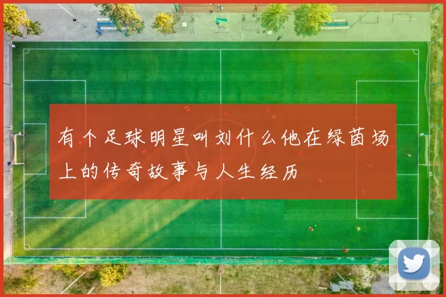 有个足球明星叫刘什么他在绿茵场上的传奇故事与人生经历