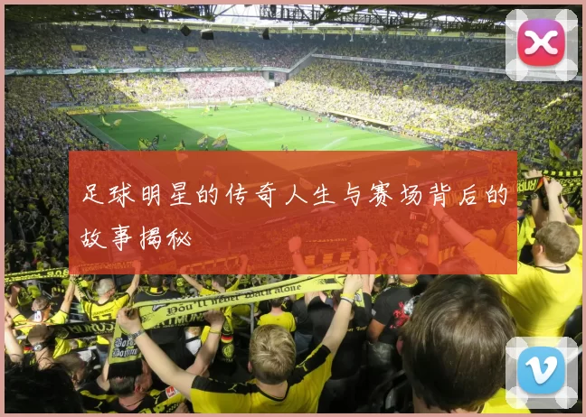 足球明星的传奇人生与赛场背后的故事揭秘