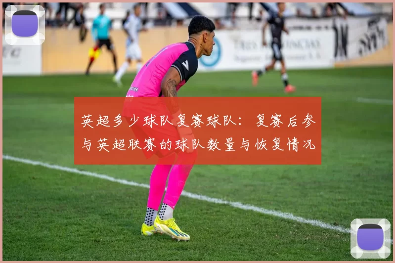 英超多少球队复赛球队：复赛后参与英超联赛的球队数量与恢复情况