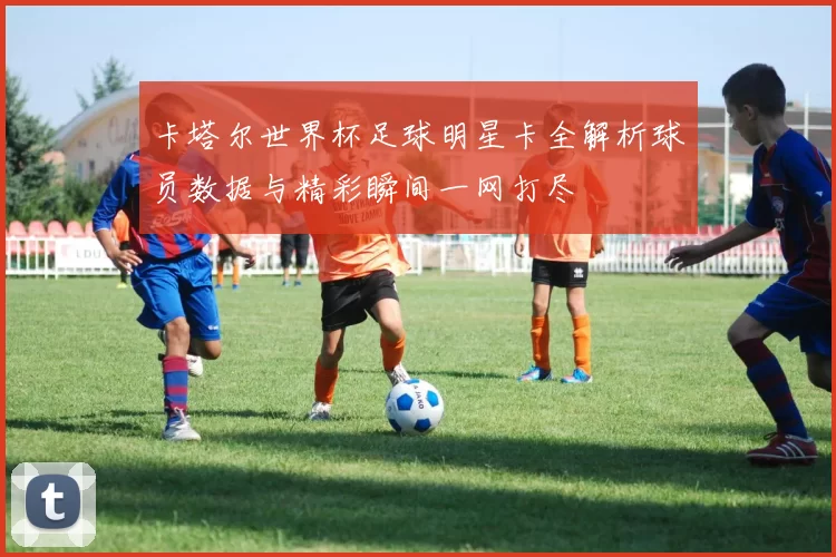 卡塔尔世界杯足球明星卡全解析球员数据与精彩瞬间一网打尽