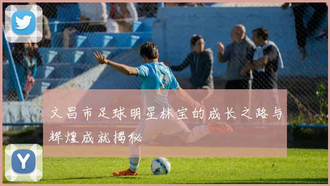 文昌市足球明星林宝的成长之路与辉煌成就揭秘