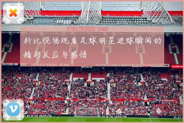 科比现场观看足球明星进球瞬间的精彩反应与感悟