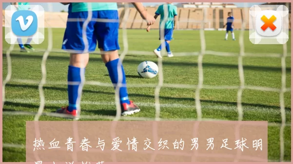 热血青春与爱情交织的男男足球明星小说推荐