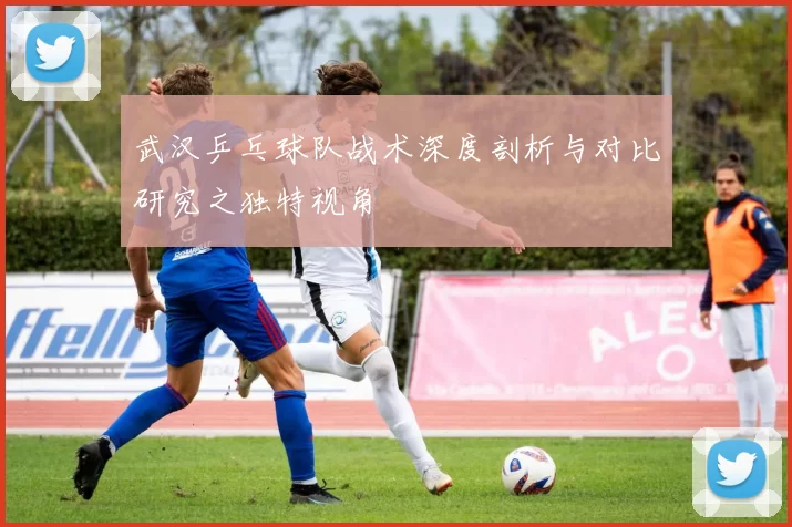 武汉乒乓球队战术深度剖析与对比研究之独特视角