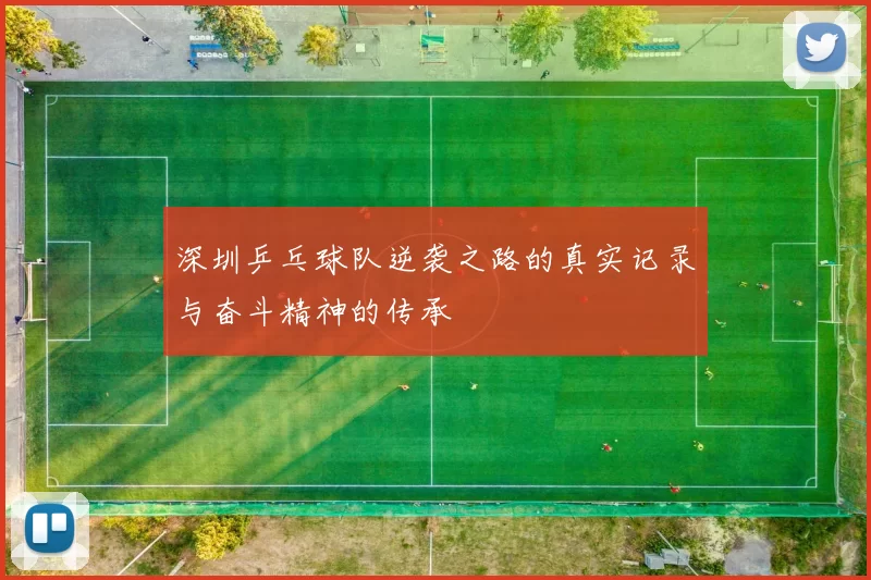 深圳乒乓球队逆袭之路的真实记录与奋斗精神的传承