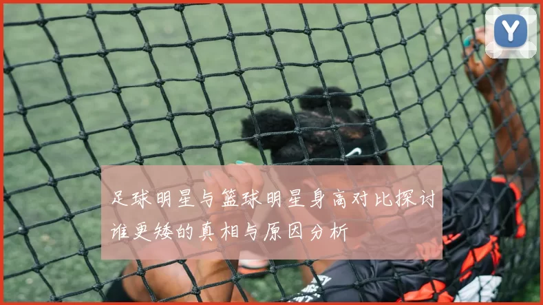 足球明星与篮球明星身高对比探讨谁更矮的真相与原因分析