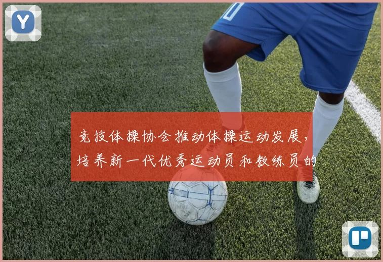 竞技体操协会推动体操运动发展，培养新一代优秀运动员和教练员的战略规划