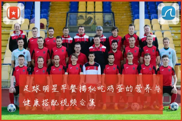 足球明星早餐揭秘吃鸡蛋的营养与健康搭配视频合集