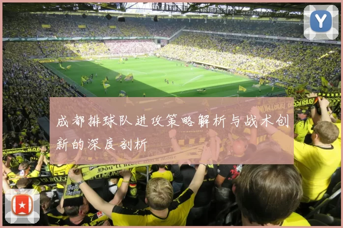 成都排球队进攻策略解析与战术创新的深度剖析