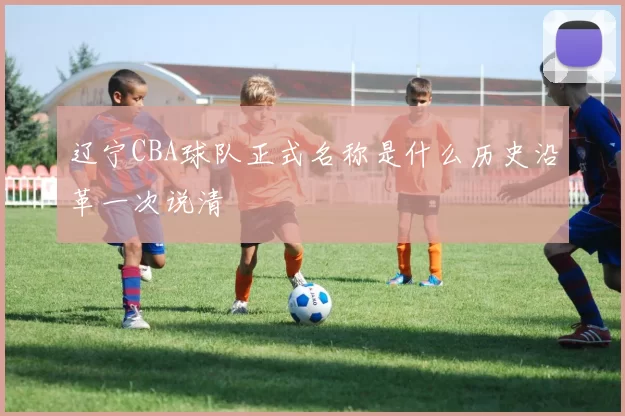 辽宁CBA球队正式名称是什么历史沿革一次说清