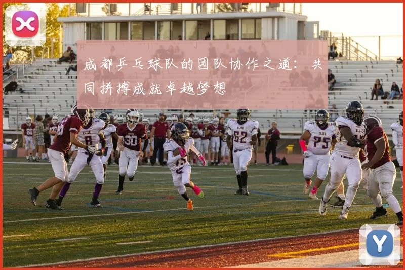 成都乒乓球队的团队协作之道：共同拼搏成就卓越梦想