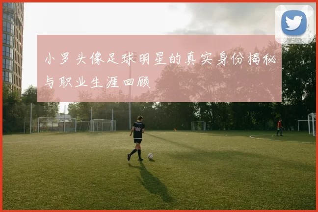 小罗头像足球明星的真实身份揭秘与职业生涯回顾