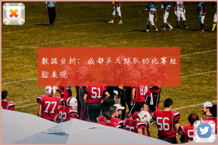 数据分析：成都乒乓球队的比赛经验表现